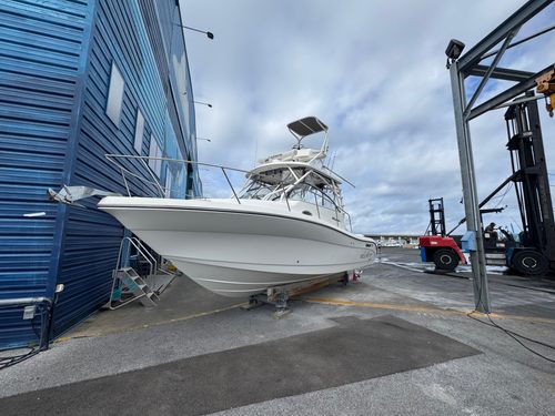 2022 Century 3200 Express